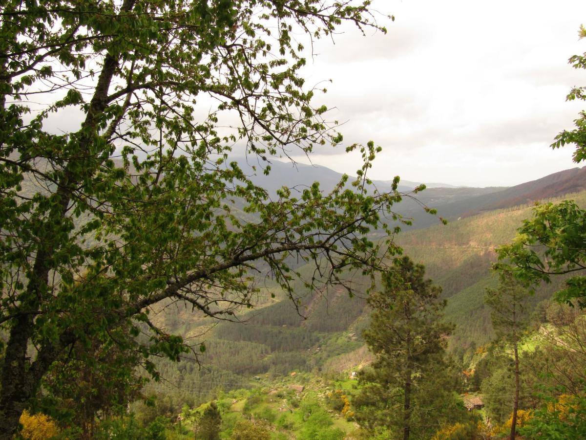 Casa Encantada - Alvoco Da Serra Villa Luaran gambar